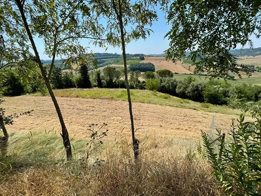 Immagine 40 di Casa colonica in vendita  a San Miniato