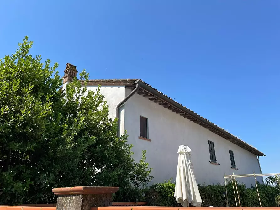 Immagine 72 di Casa colonica in vendita  a San Miniato