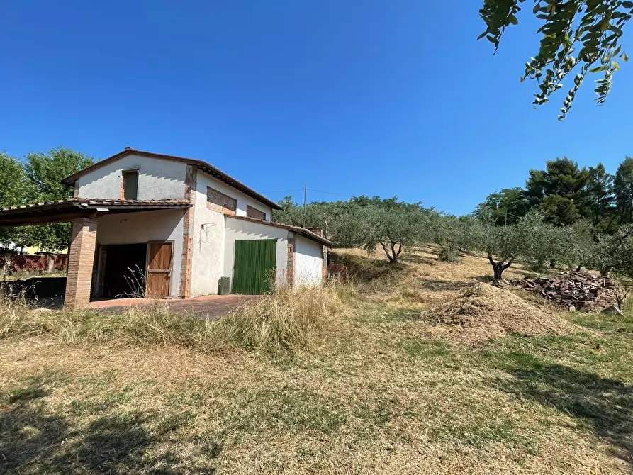 Immagine 42 di Casa colonica in vendita  a San Miniato