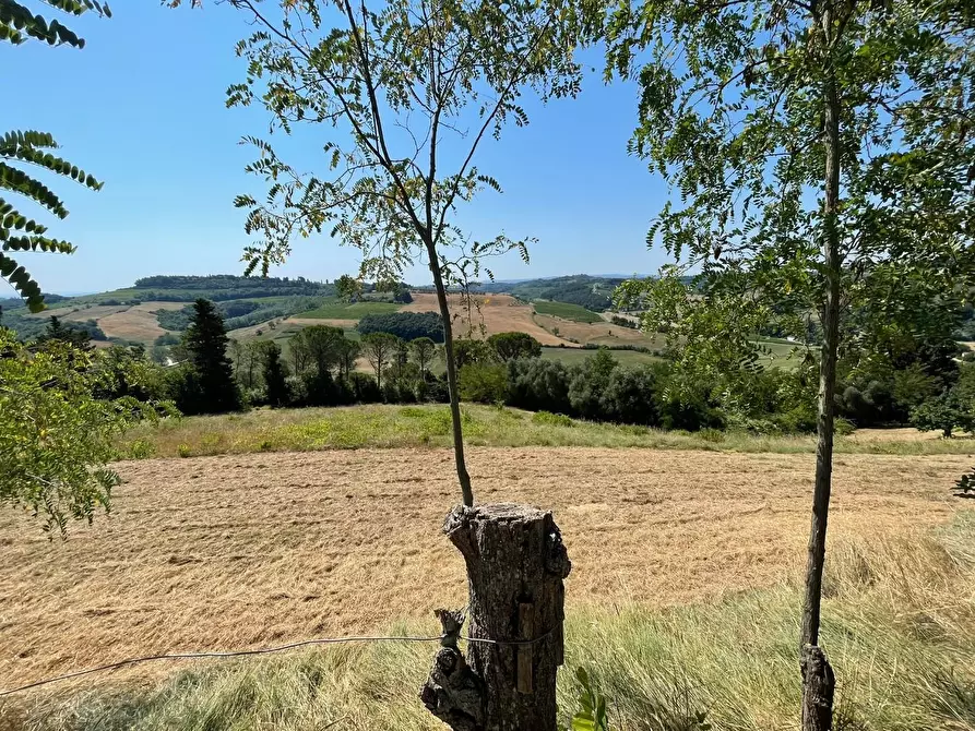Immagine 79 di Casa colonica in vendita  a San Miniato