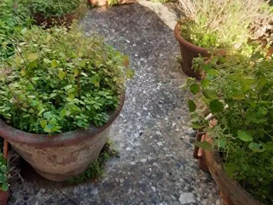 Immagine 3 di Terratetto in vendita  a Vicopisano