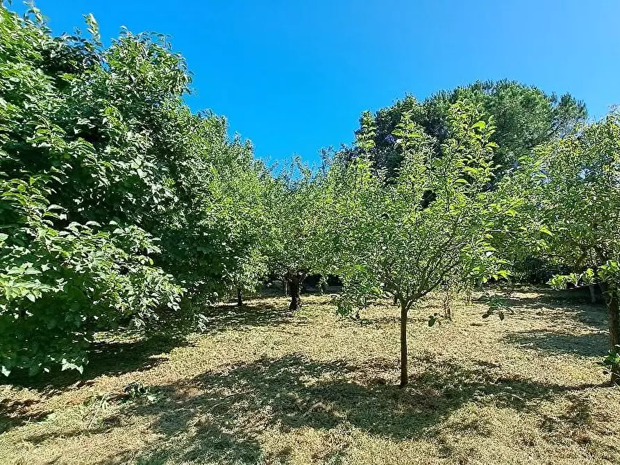 Immagine 52 di Casa colonica in vendita  a San Giuliano Terme