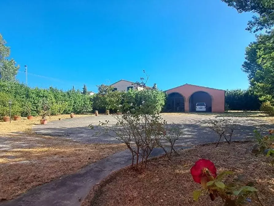 Immagine 39 di Casa colonica in vendita  a San Giuliano Terme