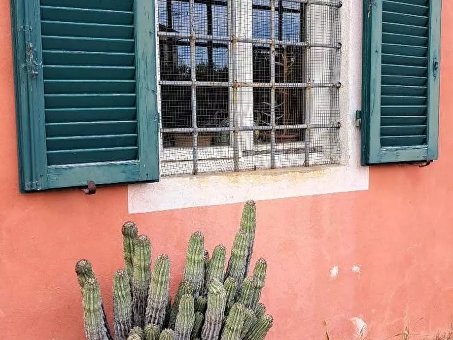 Immagine 47 di Casa colonica in vendita  a San Giuliano Terme