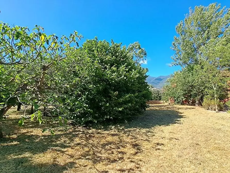 Immagine 56 di Casa colonica in vendita  a San Giuliano Terme