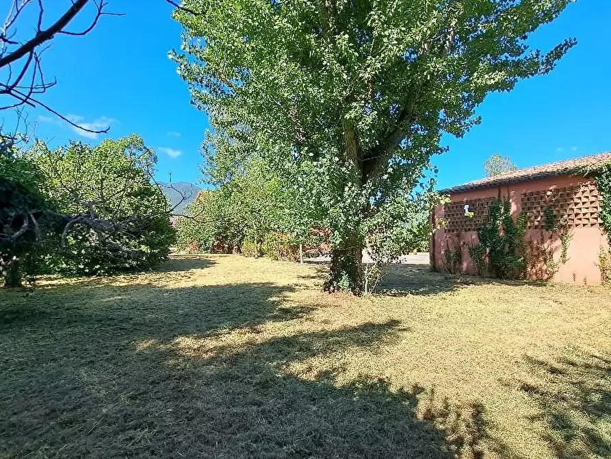 Immagine 38 di Casa colonica in vendita  a San Giuliano Terme