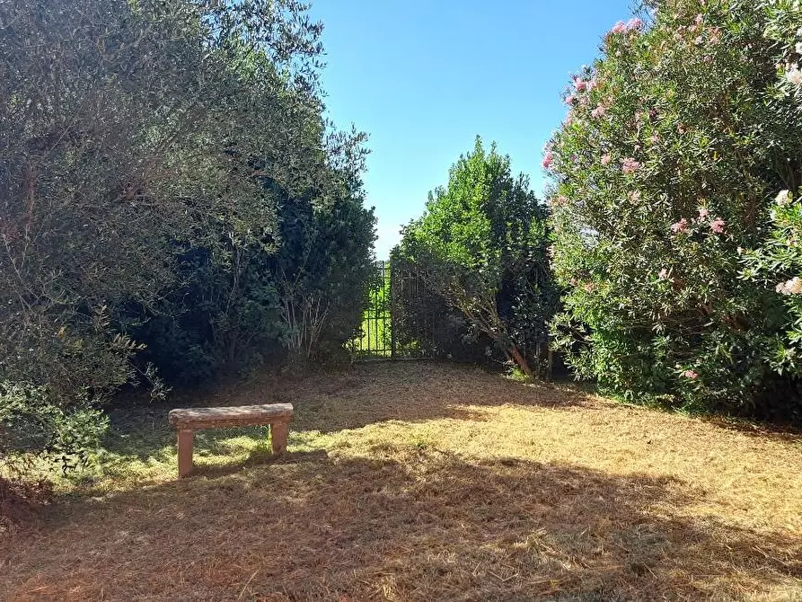 Immagine 51 di Casa colonica in vendita  a San Giuliano Terme