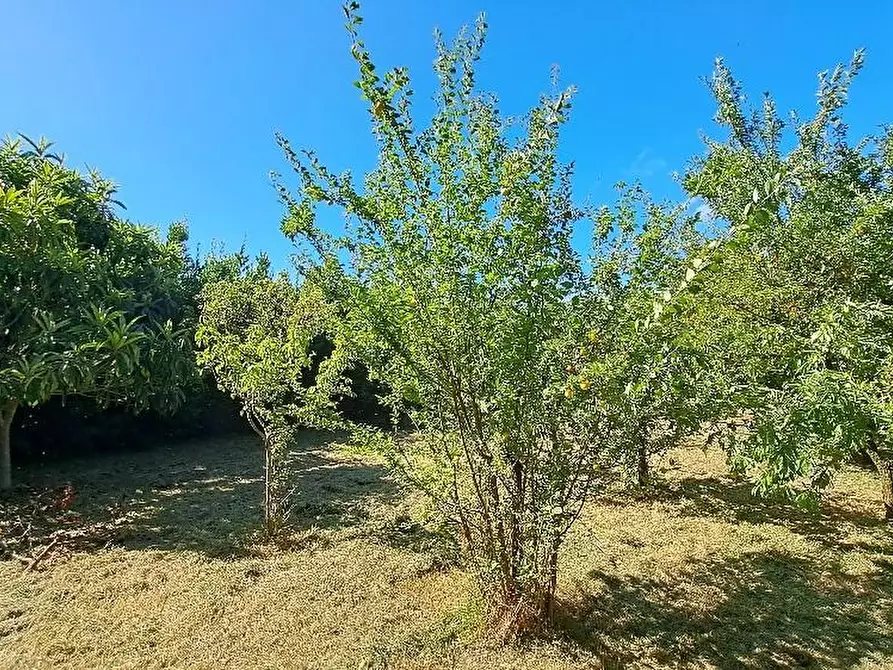 Immagine 55 di Casa colonica in vendita  a San Giuliano Terme