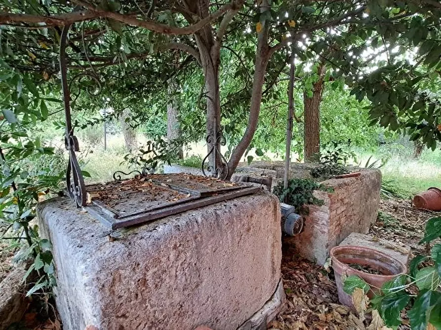 Immagine 49 di Casa colonica in vendita  a San Giuliano Terme