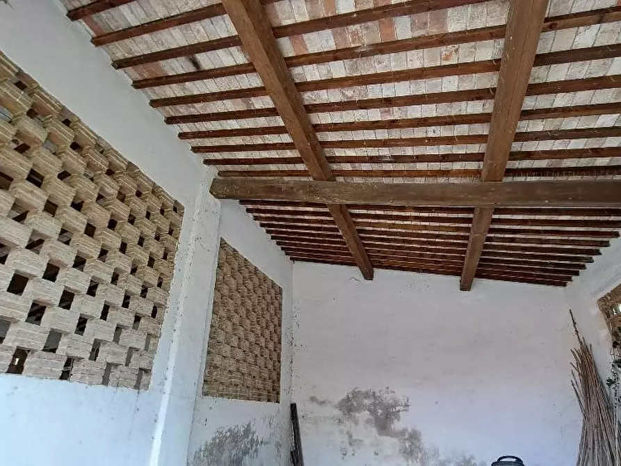 Immagine 43 di Casa colonica in vendita  a San Giuliano Terme