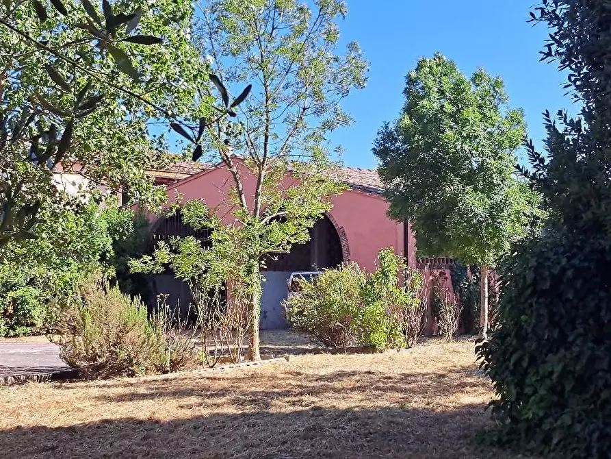 Immagine 40 di Casa colonica in vendita  a San Giuliano Terme