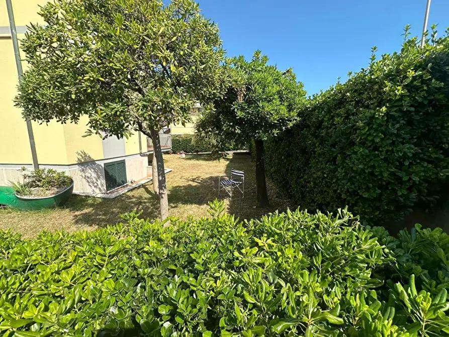 Immagine 2 di Appartamento in vendita  a Carrara