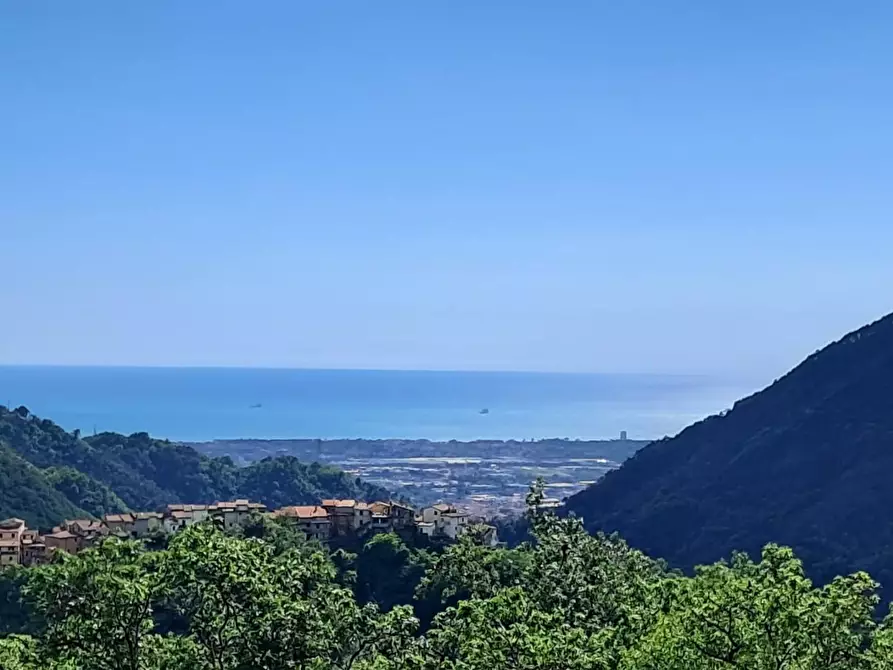 Immagine 61 di Appartamento in vendita  a Massa