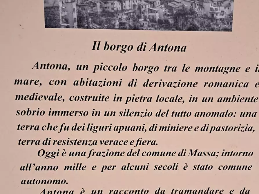 Immagine 4 di Appartamento in vendita  a Massa