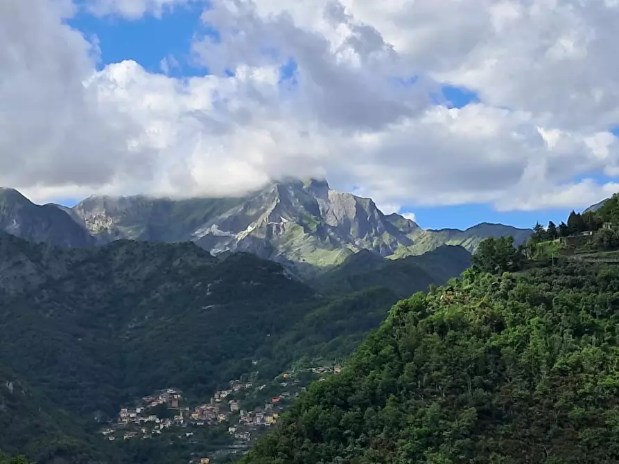 Immagine 57 di Appartamento in vendita  a Massa