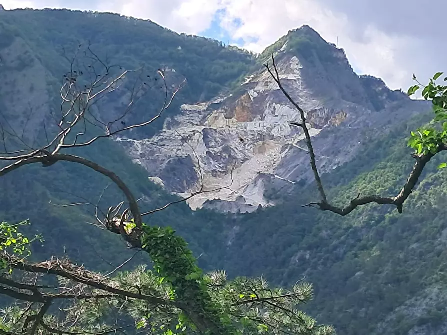 Immagine 56 di Appartamento in vendita  a Massa