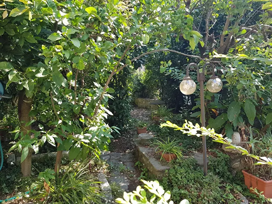 Immagine 5 di Villetta a schiera in vendita  a Carrara