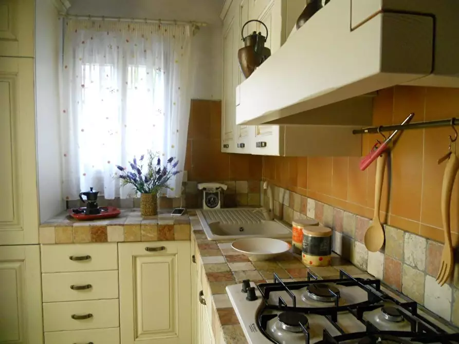 Immagine 1 di Villa in vendita  a Viareggio