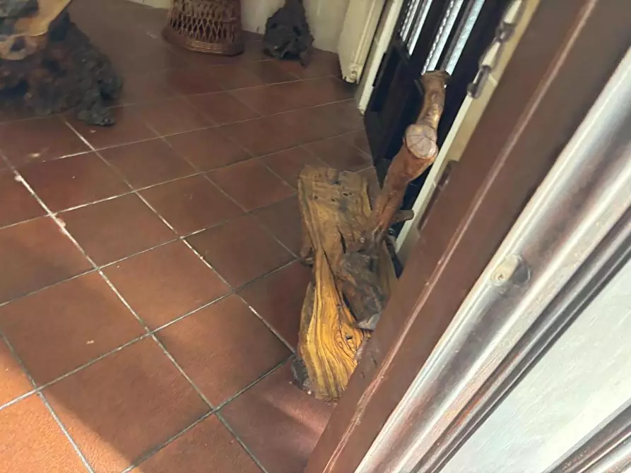 Immagine 16 di Villa in vendita  a Viareggio