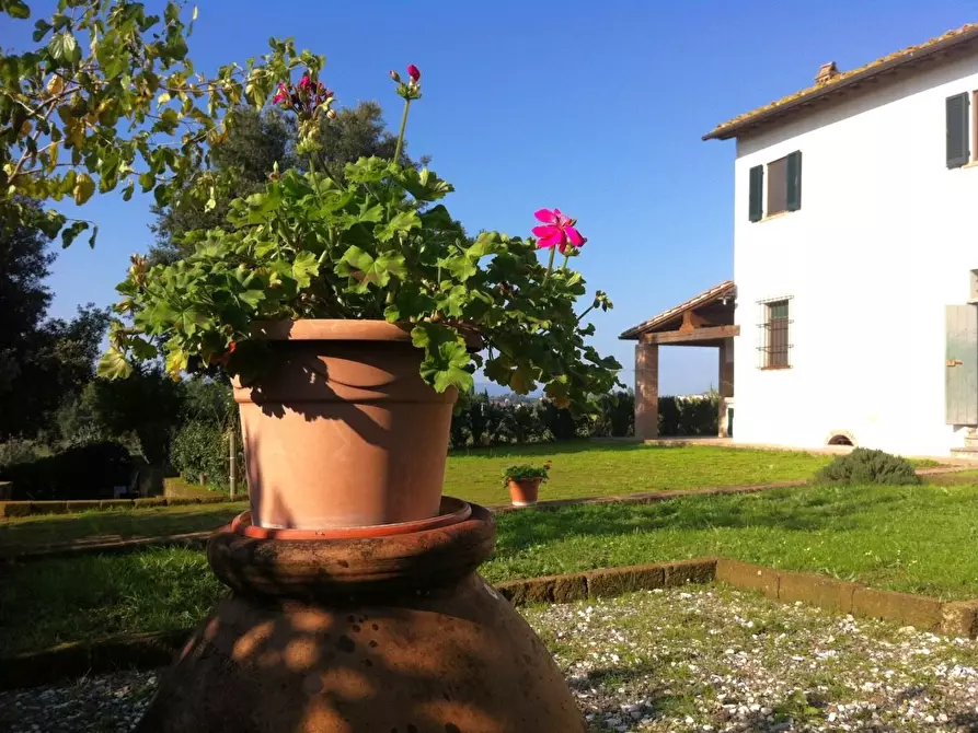 Immagine 3 di Casa colonica in vendita  a San Miniato