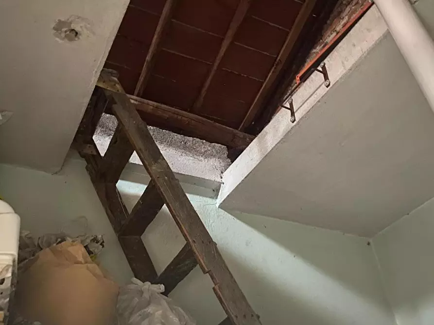 Immagine 13 di Appartamento in vendita  a Viareggio