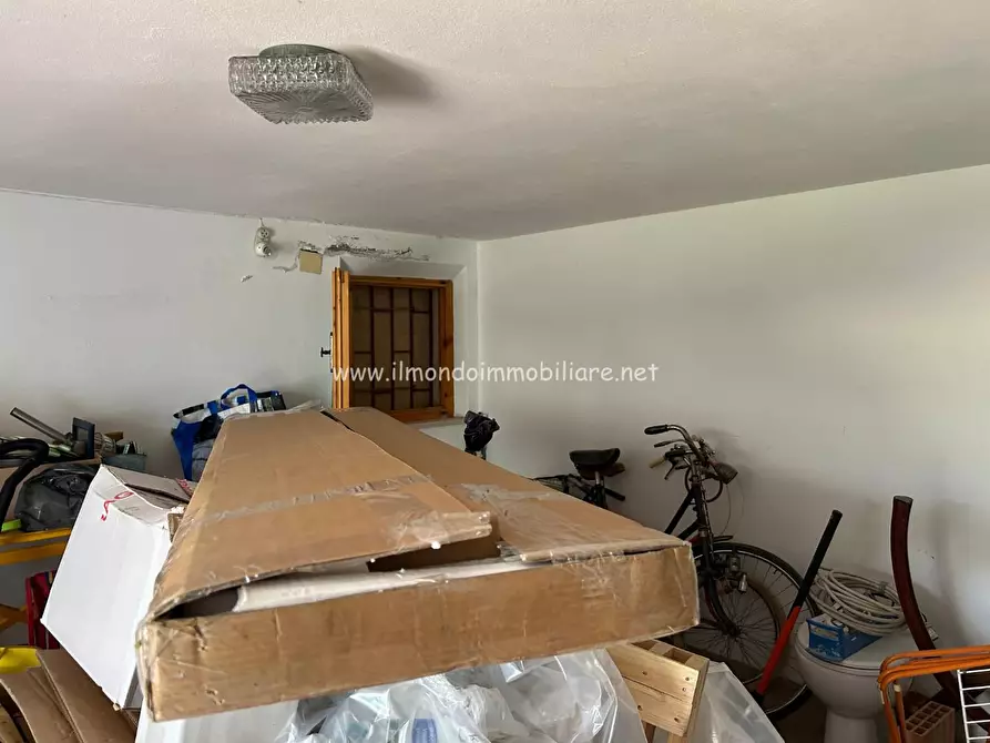 Immagine 23 di Appartamento in vendita  a Rosignano Marittimo