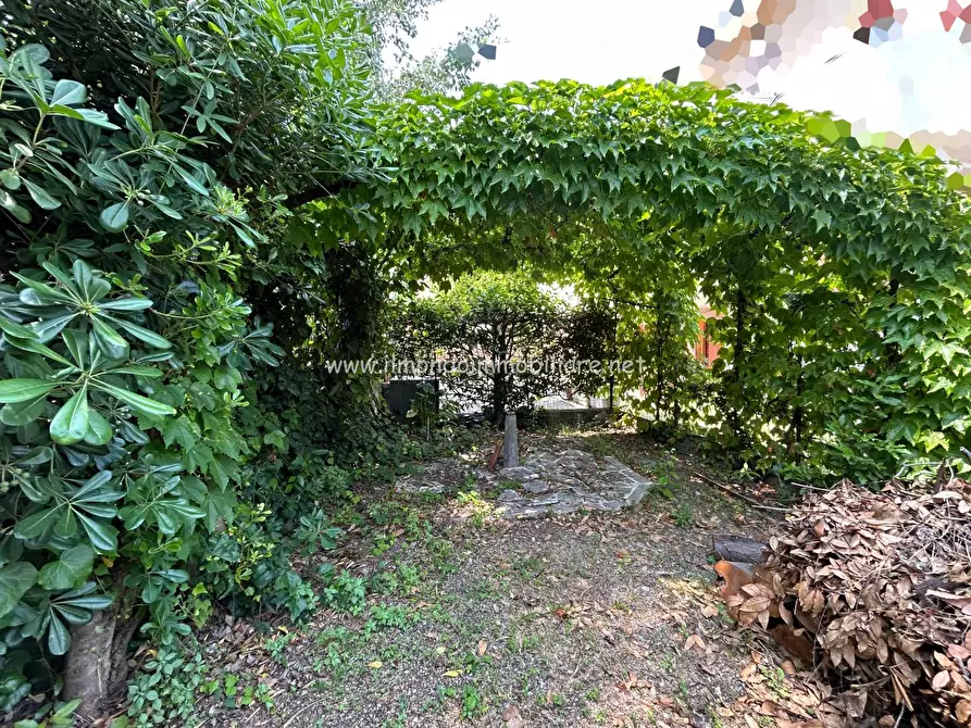 Immagine 22 di Appartamento in vendita  a Rosignano Marittimo