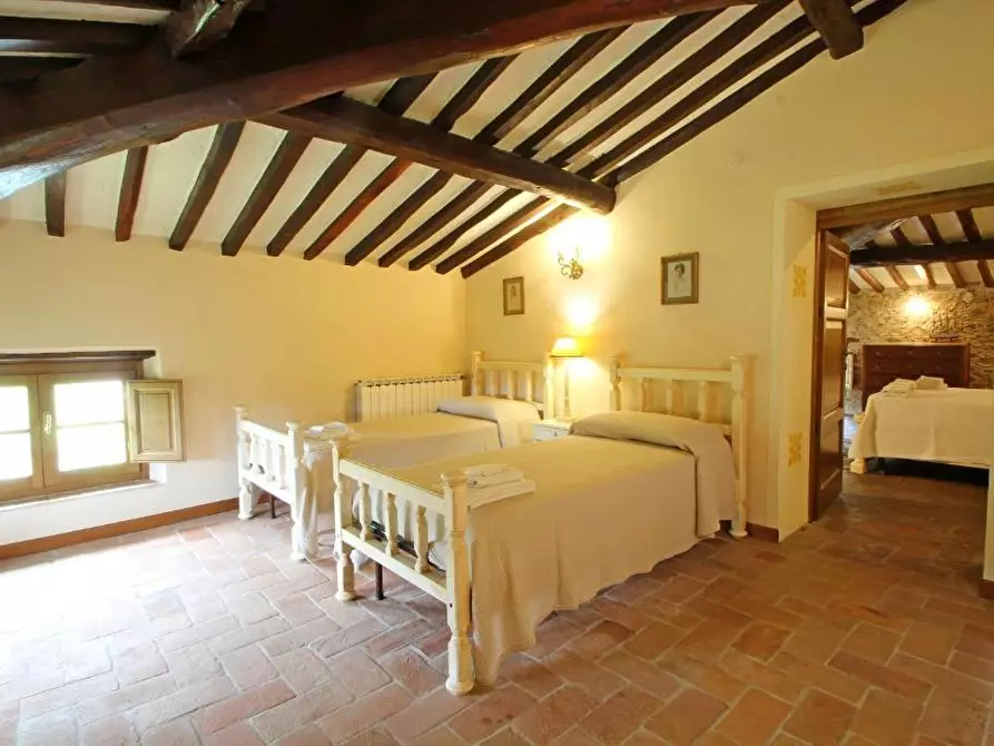 Immagine 88 di Villa in affitto  a Camaiore