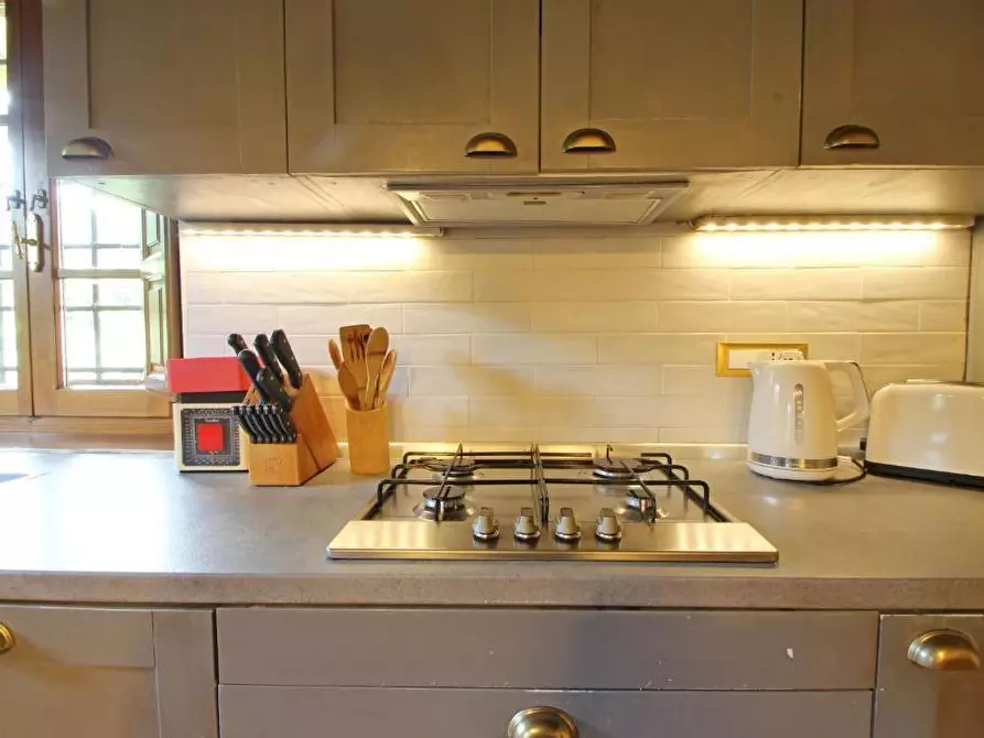 Immagine 85 di Villa in affitto  a Camaiore