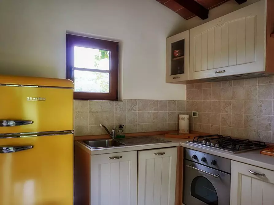 Immagine 71 di Villa in affitto  a Camaiore