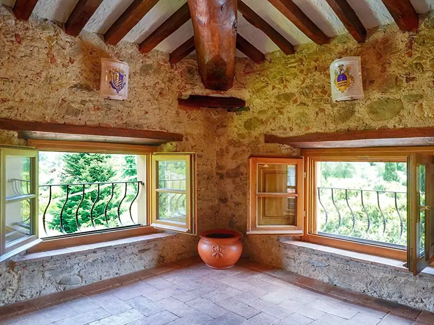 Immagine 43 di Villa in affitto  a Camaiore