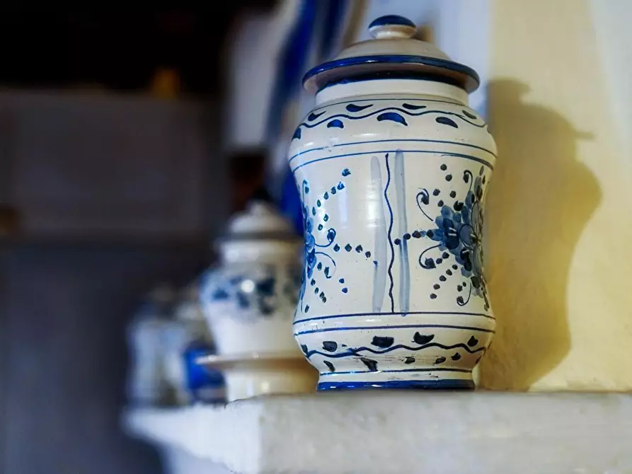 Immagine 22 di Villa in affitto  a Camaiore