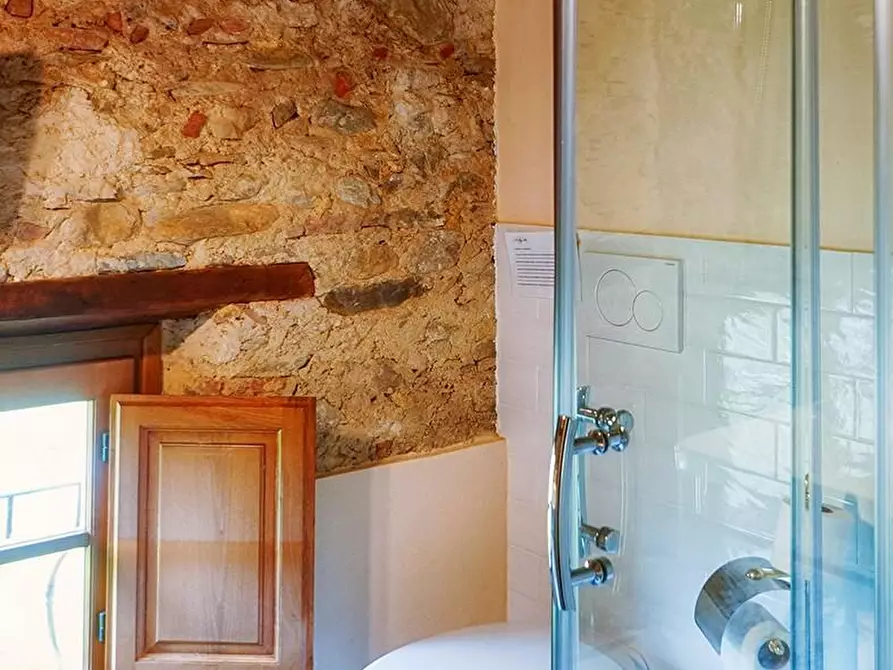 Immagine 45 di Villa in affitto  a Camaiore