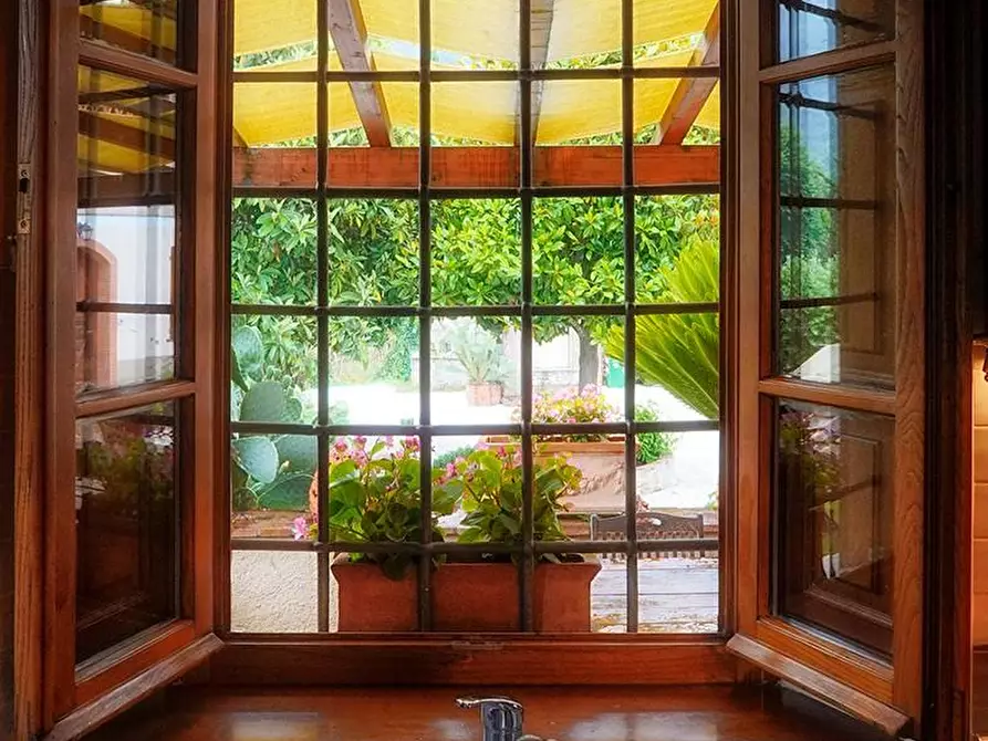 Immagine 16 di Villa in affitto  a Camaiore