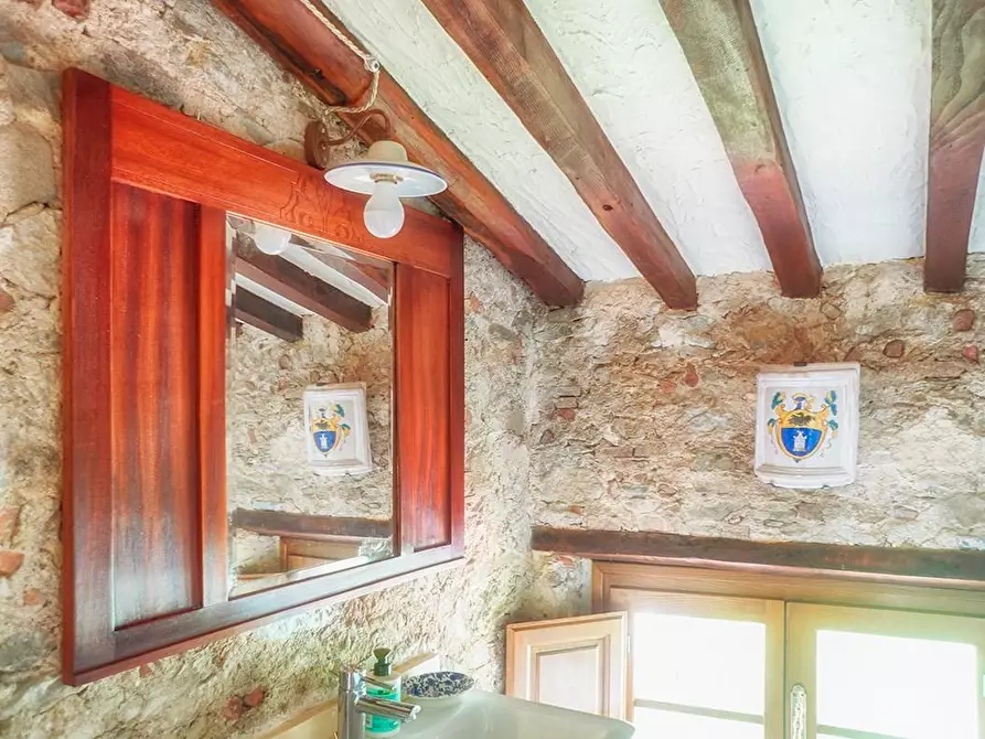 Immagine 44 di Villa in affitto  a Camaiore