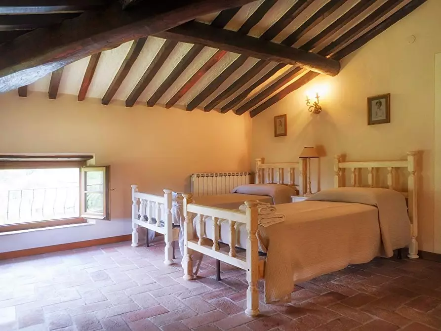 Immagine 49 di Villa in affitto  a Camaiore