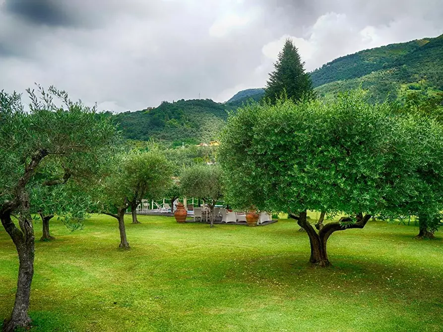 Immagine 64 di Villa in affitto  a Camaiore