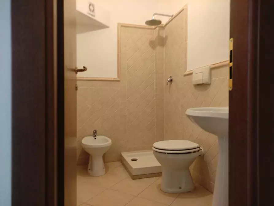 Immagine 21 di Appartamento in vendita  a Collesalvetti