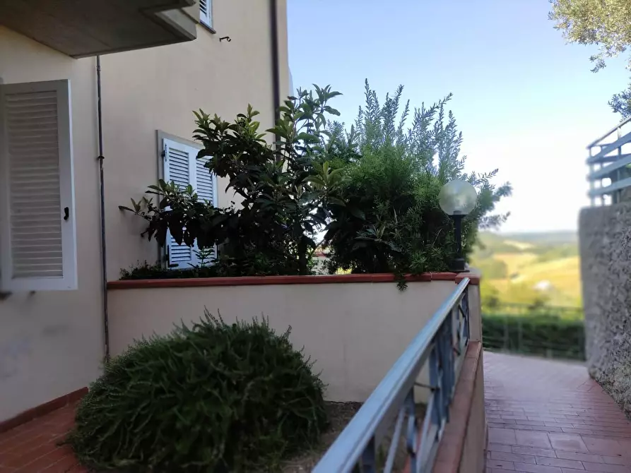 Immagine 7 di Appartamento in vendita  a Collesalvetti