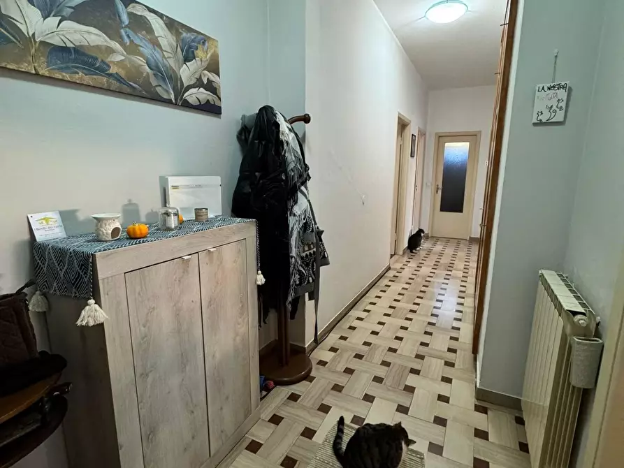 Immagine 18 di Appartamento in vendita  a Carrara