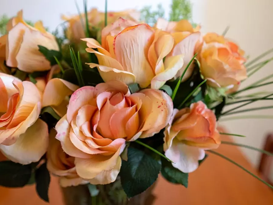 Immagine 6 di Appartamento in vendita  a Bientina