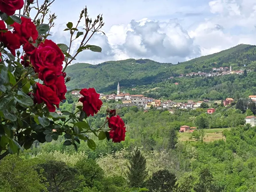 Immagine 1 di Appartamento in vendita  a Carro