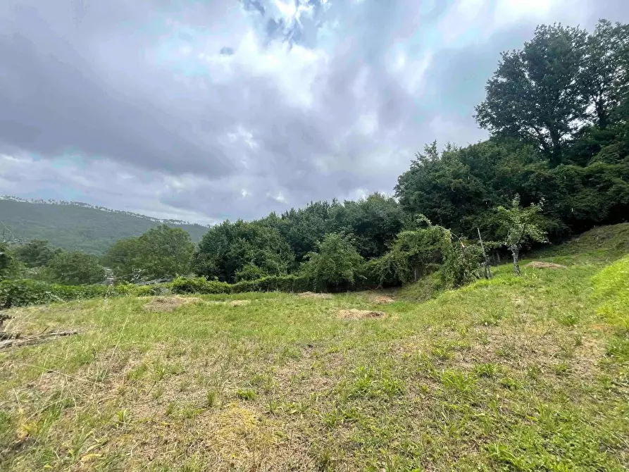 Immagine 26 di Appartamento in vendita  a Carro