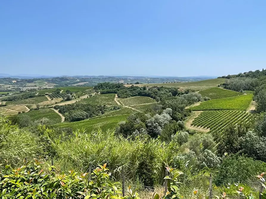 Immagine 20 di Villa in vendita  a San Miniato