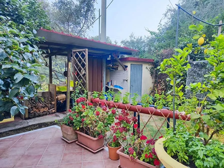 Immagine 2 di Casa bifamiliare in vendita  a Carrara