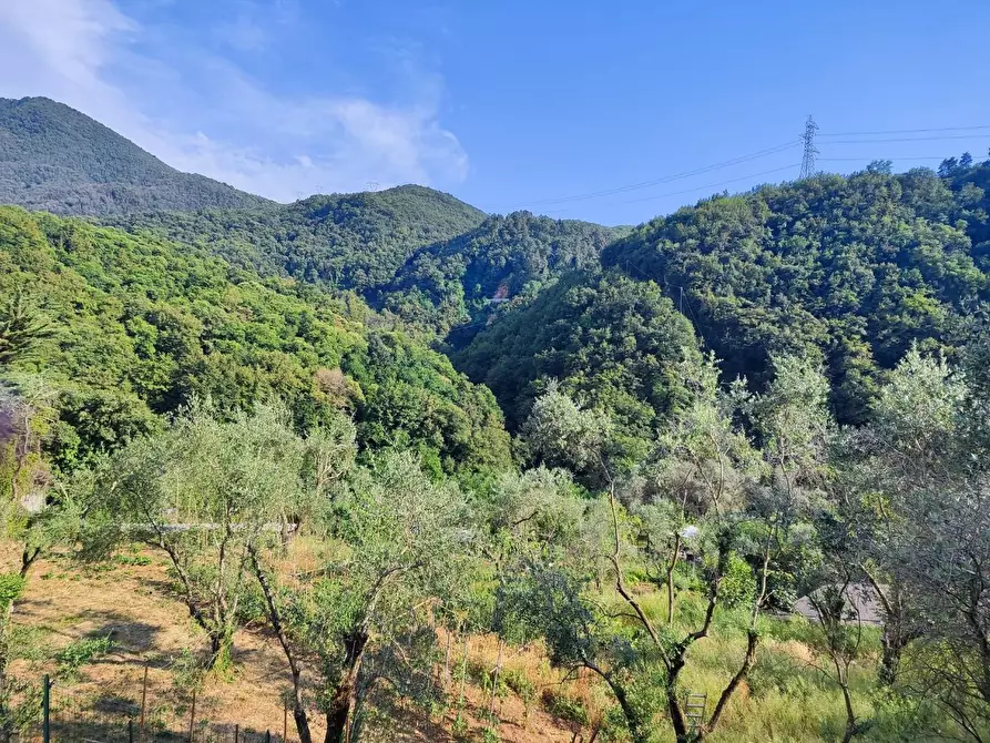 Immagine 26 di Casa bifamiliare in vendita  a Carrara