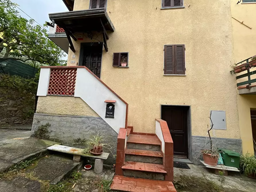 Immagine 8 di Terratetto in vendita  a Massa