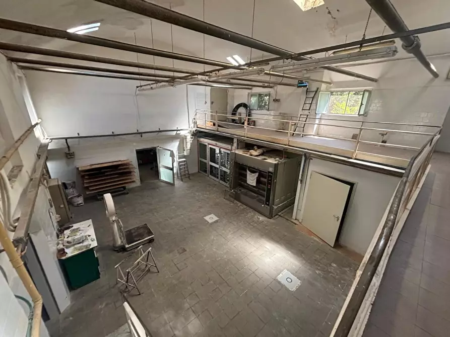 Immagine 1 di Attività artigianale in vendita  a Empoli