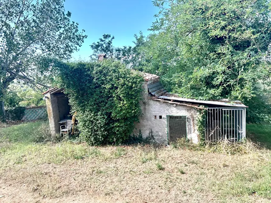Immagine 11 di Casa indipendente in vendita  a Capannoli