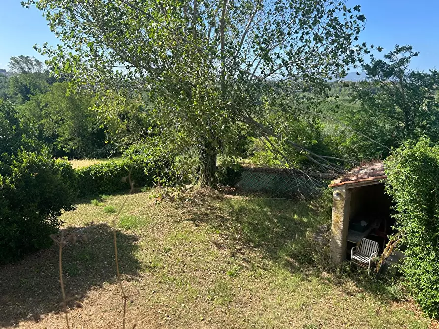 Immagine 22 di Casa indipendente in vendita  a Capannoli